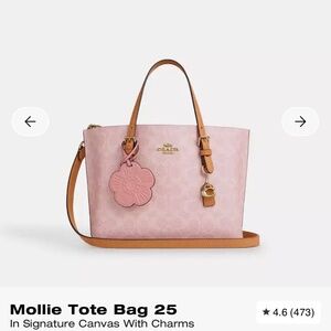 Coach Mollie Tote Bag 25